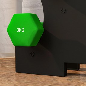 SPORTNOW Jogo de Halteres 2x1 kg 2x2 kg 2x3 kg Conjunto de Halteres He