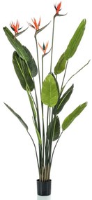 Emerald Árvore estrelícia artificial com 4 flores em vaso 150 cm