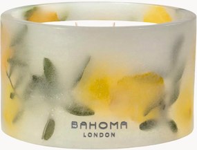 Vela perfumada de três pavios artesanal Botanica (Pinho, Citrinos, Cedro)