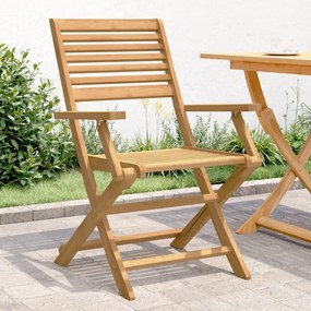 vidaXL Cadeiras jardim dobráveis 2 pcs 54,5x61,5x86,5 cm acácia maciça