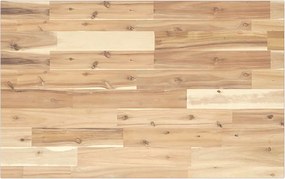 vidaXL Tampo de secretária 100x50x2 cm acácia maciça não tratada