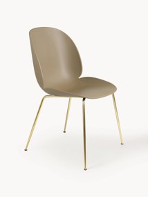 Plastic Chair Beetle