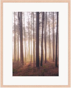Impressão digital emoldurada Into The Foggy Woods