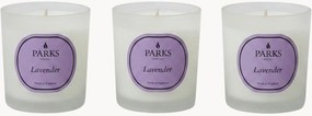 Velas perfumadas artesanais Vintage Aromatherapy (lavanda, camomila, almíscar branco), conjunto de 3