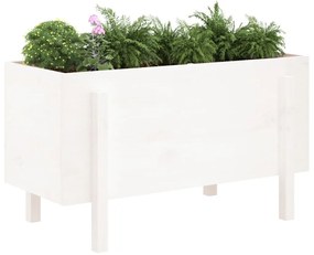 Canteiro elevado de jardim 101x50x57 cm pinho maciço branco