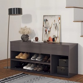 vidaXL Banco sapateira 105x30x45 cm contraplacado cinzento brilhante