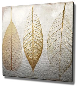 Pintura Decorativa em Tela KC098 – Multicolor – 45 x 45 cm