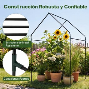 Miniestufa de Jardim, 90,5 x 90,5 x 152,5 cm, Resistente ao Vento, Transparente