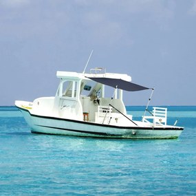 vidaXL Conj. extensão de toldo em T 174x205x (115-194) cm azul-marinho