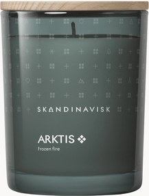 Vela perfumada Arktis (madeira varrida pelo vento, sálvia do ártico, hortelã, flocos de neve)