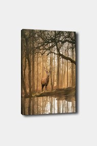Quadro Decorativo em Tela 1276742665 – Multicolor – 50 x 70 cm