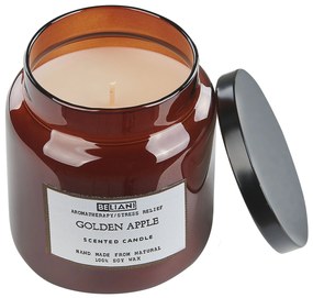 Conjunto de 2 velas perfumadas em cera de soja maça golden/couro ABSOLUTE ALCHEMY Beliani