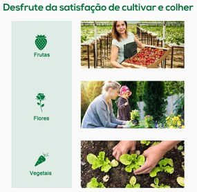 Estufa de Jardim Pequena Estufa de Exterior com Janelas e Estrutura de