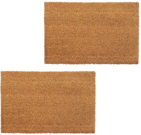 vidaXL Tapetes de porta em fibra de coco 2 pcs 24 mm 40x60 cm natural