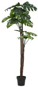 vidaXL Planta costela-de-adão artificial com vaso 170 cm verde