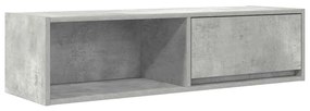 Móveis de TV 2pcs 100x31x25,5 cm deriv. madeira cinza cimento