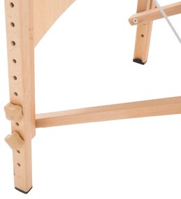 Marquesa Masajea  Dobrável ´- Roxo - Design Moderno