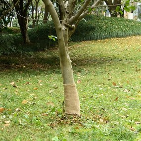 vidaXL Rolo de juta 0,25x15 m 100% juta 200 gsm