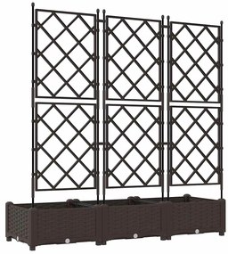 Vaso de Jardim com Treliça 3 pcs Castanho 120x40x125.5 cm