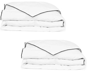 vidaXL Edredão de inverno penugem 2 pcs 140x200 cm