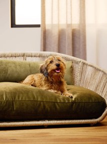 Cama para cães para interior e exterior Vogue