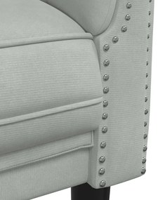2 pcs conjunto de sofás veludo cinzento-claro