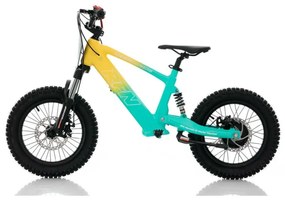 Bicicleta elétrica infantil 350W 16" Roan RXF Evo-S Verde e Amarela