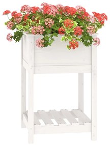 Vaso/floreira com prateleira 54x54x81 cm pinho maciço branco