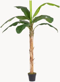 Planta artificial para exterior Banana, Alt 210 cm
