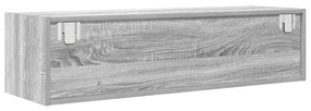 Móvel de TV 100x31x25,5 cm derivados de madeira cinzento sonoma