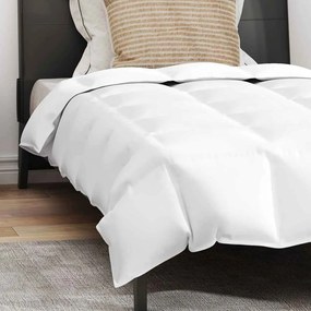 Edredão com travesseiro 2 pcs Branco 135 x 200 cm Penugem