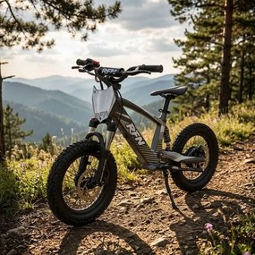 Bicicleta elétrica infantil 350W 16" Roan RXF Evo-S Cinzenta