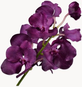 Flores artificiais Vanda, conjunto de 2