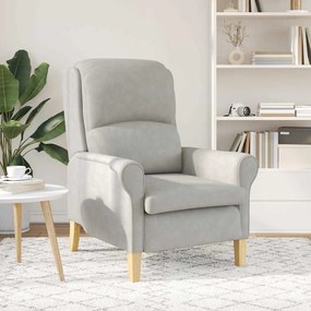 Poltrona Cinza Claro Cinzento-claro Standard