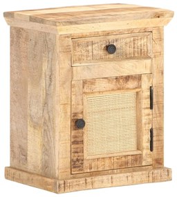 vidaXL Mesa de cabeceira 40x30x50 cm mangueira maciça/palhinha natural