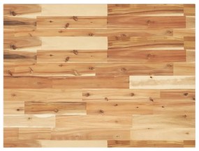 vidaXL Tampo p/ móvel de WC 100x60x2cm acácia maciça acabamento a óleo