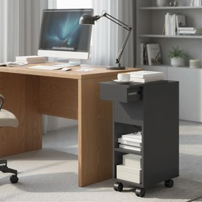 Mesa Apoio com Bancada Deslizante e Rodas Mesa Auxiliar com Armazenamento Oculto e Prateleira Ajustável 45x25x70 cm Preto