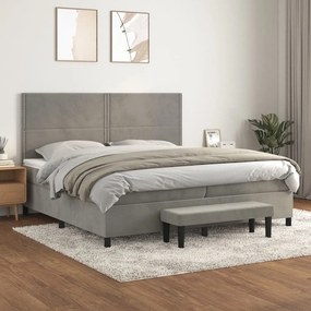 vidaXL Cama com molas/colchão 200x200 cm veludo cinzento-claro
