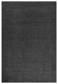 342129 vidaXL Tapete shaggy de pelo alto 160x230 cm antracite