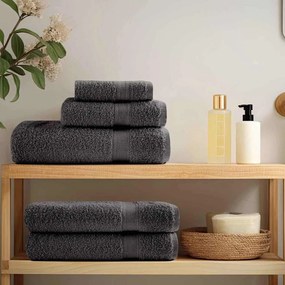vidaXL Panos de prato 2 pcs Antracite 15 x 21 cm Algodão