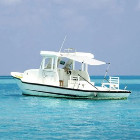 vidaXL Conj. extensão de toldo em T 174x205x (115-194) cm branco