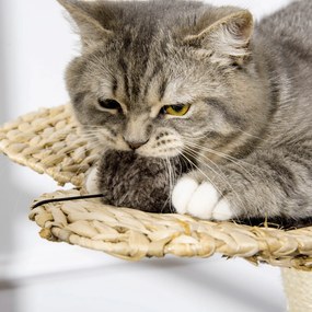 PawHut Árvore Arranhador para Gatos Médios Altura 69cm Torre para Gato