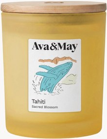 Vela perfumada Tahiti (monoi, baunilha do Taiti e âmbar)