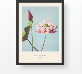 Quadro Decorativo com Moldura SC523362-3545 – Multicolor – 35 x 45 cm