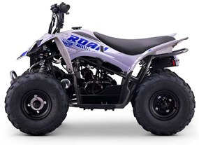 MINI MOTO 4 GASOLINA PARA CRIANÇAS velocidade até 45Km/h C/Limitador DAKAR 110cc Automática