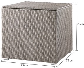 Caixa Arrumação Jardim para almofadas Polyrattan 75 x 75 x 70 cm 318L Creme