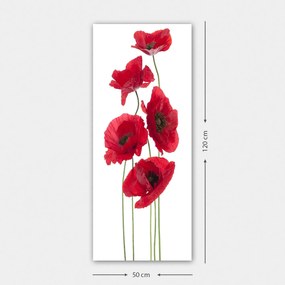 Pintura Decorativa em Tela DKY128322_50120 – Multicolor – 50 x 120 cm