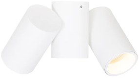 Projetores de teto design branco 2 luzes ajustáveis - Michael