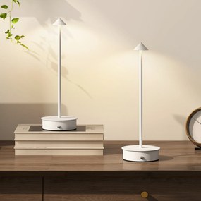 Conjunto de 2 Candeeiros de Mesa Recarregáveis por USB Reguláveis com Controlo Táctil 3000K/4500K/6500K Ø10x30 cm Branco