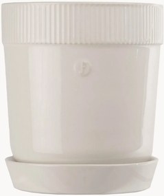 Vaso Elise